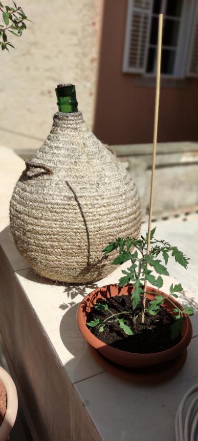 Luxury Apartment - Old Soul With A New Heart Đảo Đảo Cres Ngoại thất bức ảnh